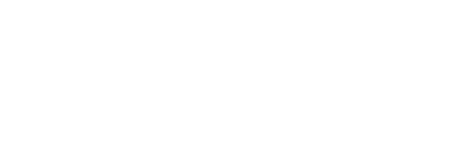 The PuNk RepoRt